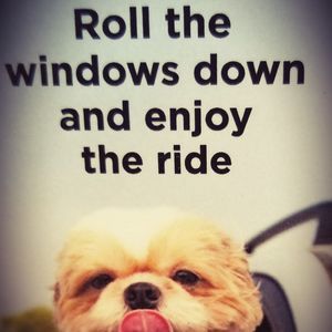 Meet your Posher, Pamela